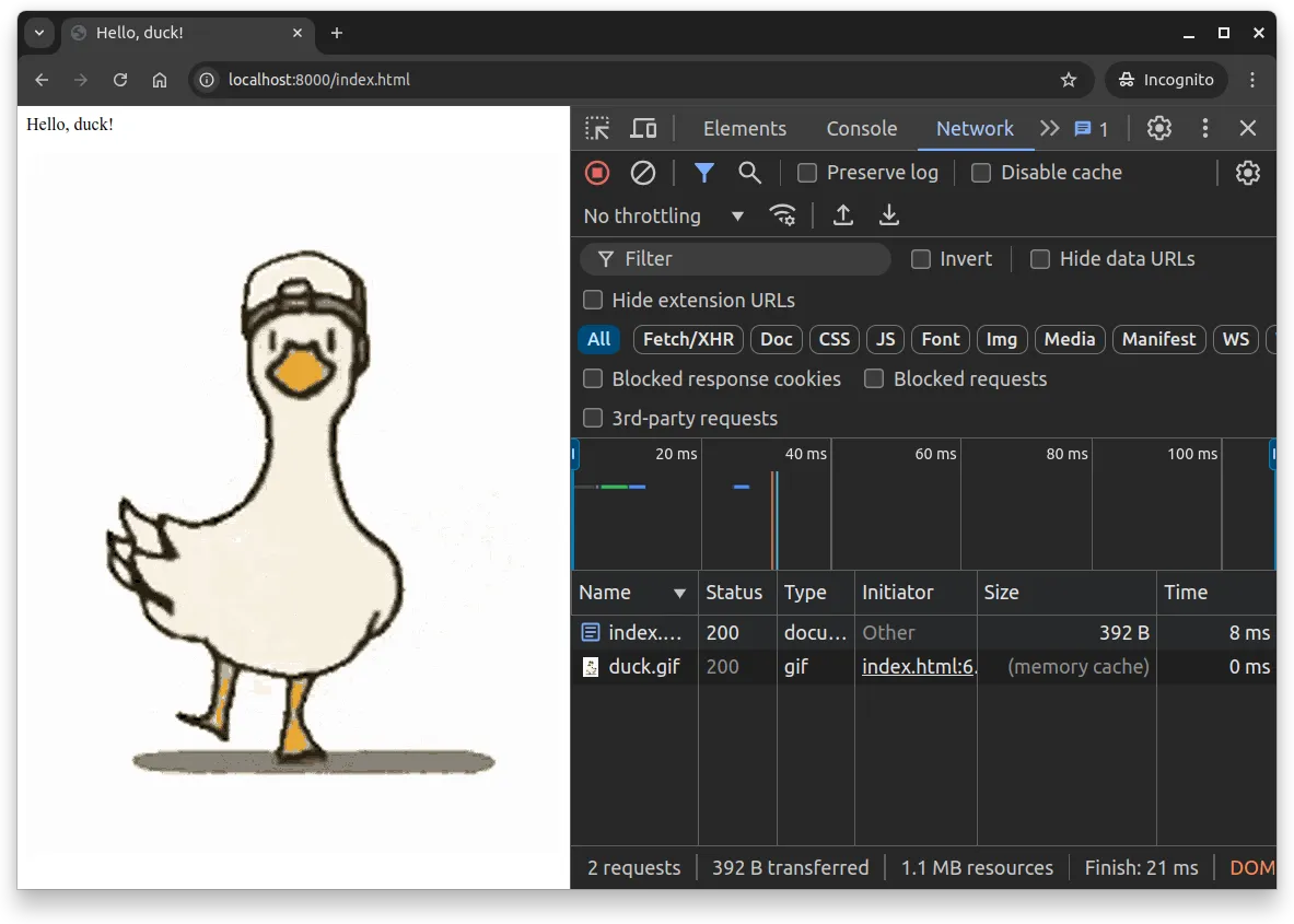 Fig. 2 -- The duck image is retrieved from memory cache instead of being requested from the server.