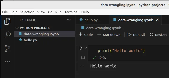 Fig 5. -- The output is shown below each cell.
